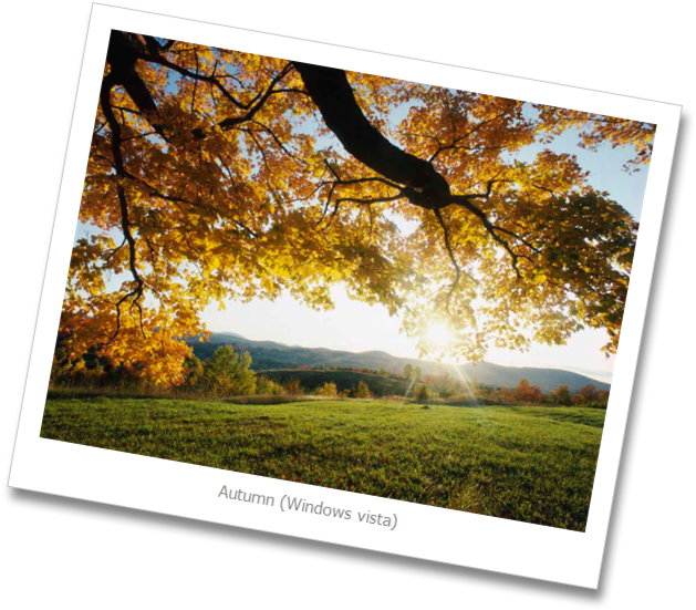 Autumn-leaves - Autumn Leaves (656x578), Png Download