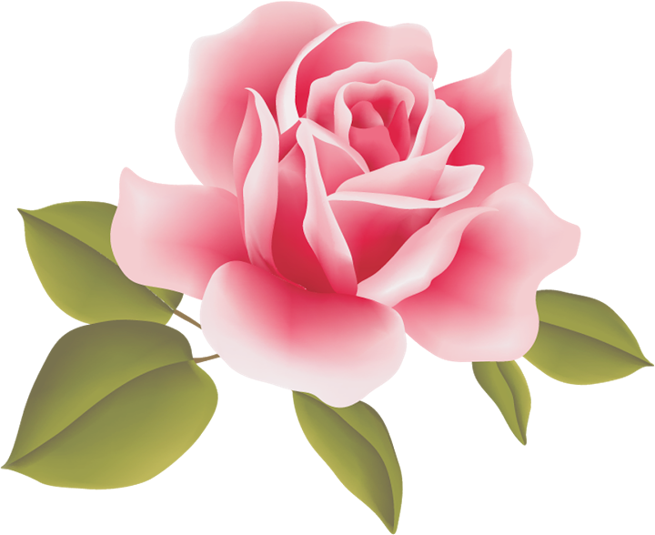 Clipart Resolution 720*588 - Rose Art Flowers (720x588), Png Download