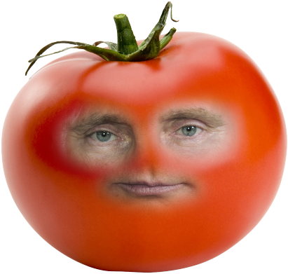 Image - Tomato Plant Seeds By Seed-balls.com - Tomato Seed (500x500), Png Download