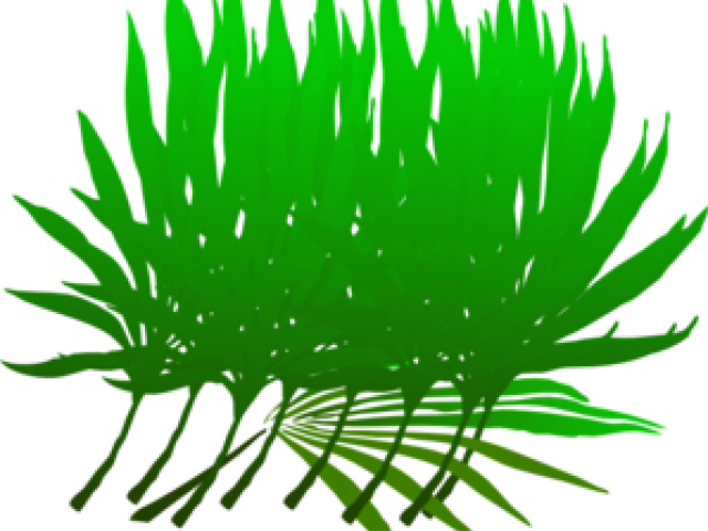 Las Palmas (640x480), Png Download