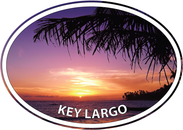 Palm Branch Sunrise - Sunset (640x475), Png Download