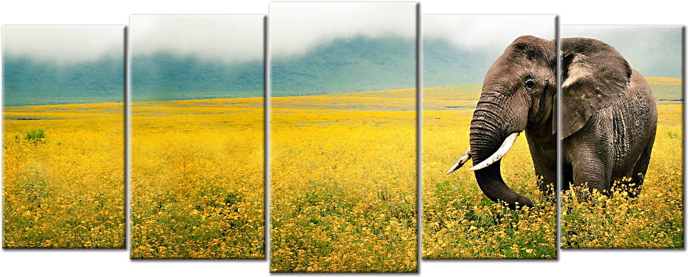 African Landscape & Wildlife Canvas - Photographer Of The Year 2010 (1000x1000), Png Download