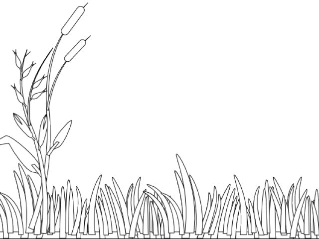 Swamp Clipart Grass Field - Clipart Grass Black And White (640x480), Png Download