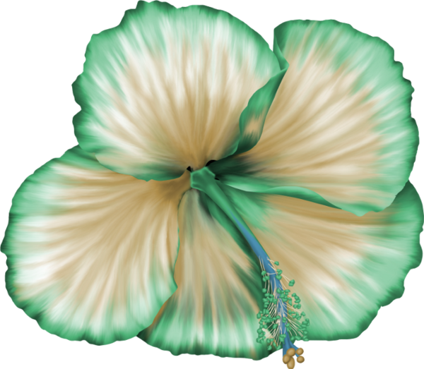 Flower (600x523), Png Download