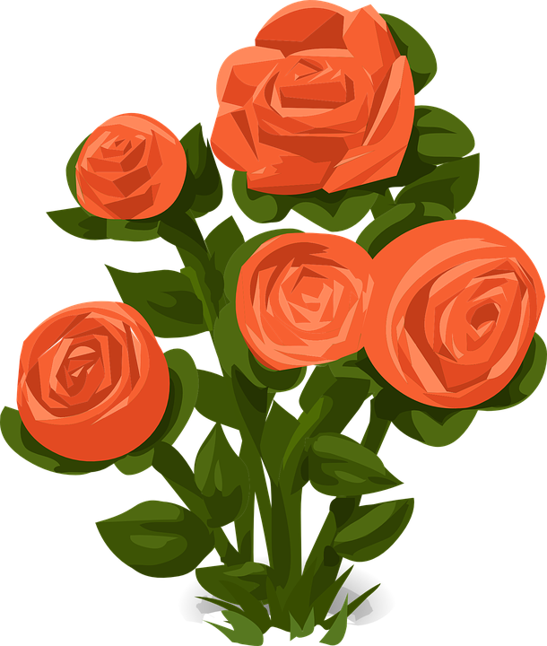 Rose Bush Roses Orange - Rose Bush Clip Art (610x720), Png Download