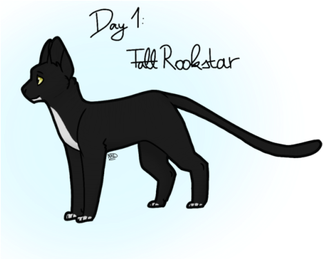 Cat (500x374), Png Download