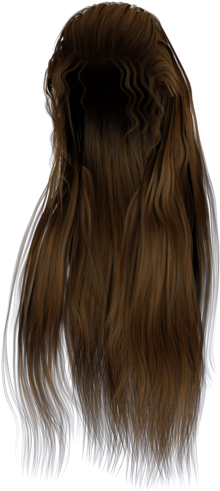 Long Brown Hair Png Svg Black And White Stock - Long Brown Hair Png (600x521), Png Download
