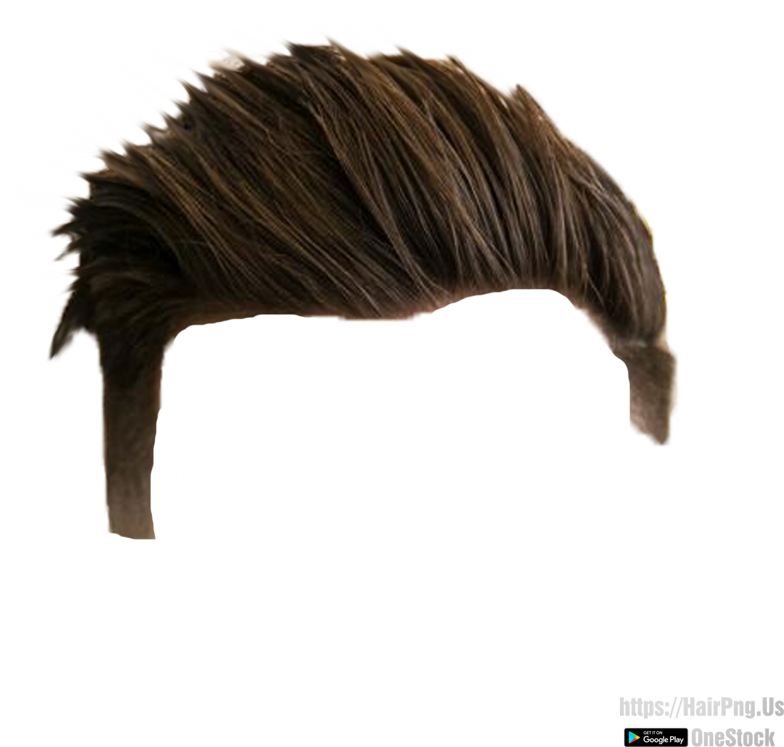 Hair Png - Hd Hair Png (1200x1200), Png Download