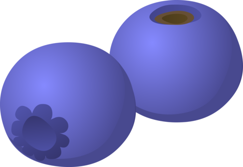 Blueberry Pie Fruit Bilberry - Blueberry Clipart (495x340), Png Download