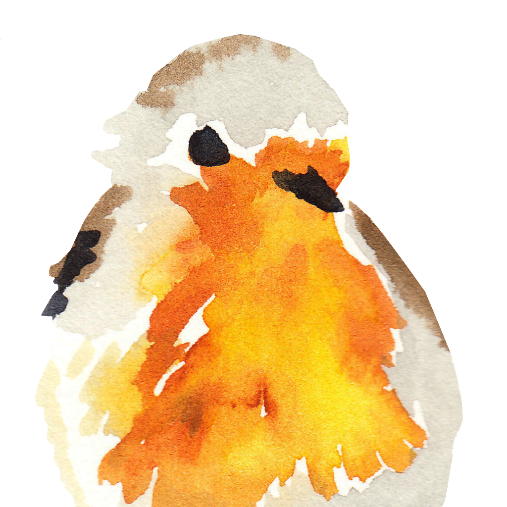 蛋黄小鸟透明装饰素材 (1024x1024), Png Download