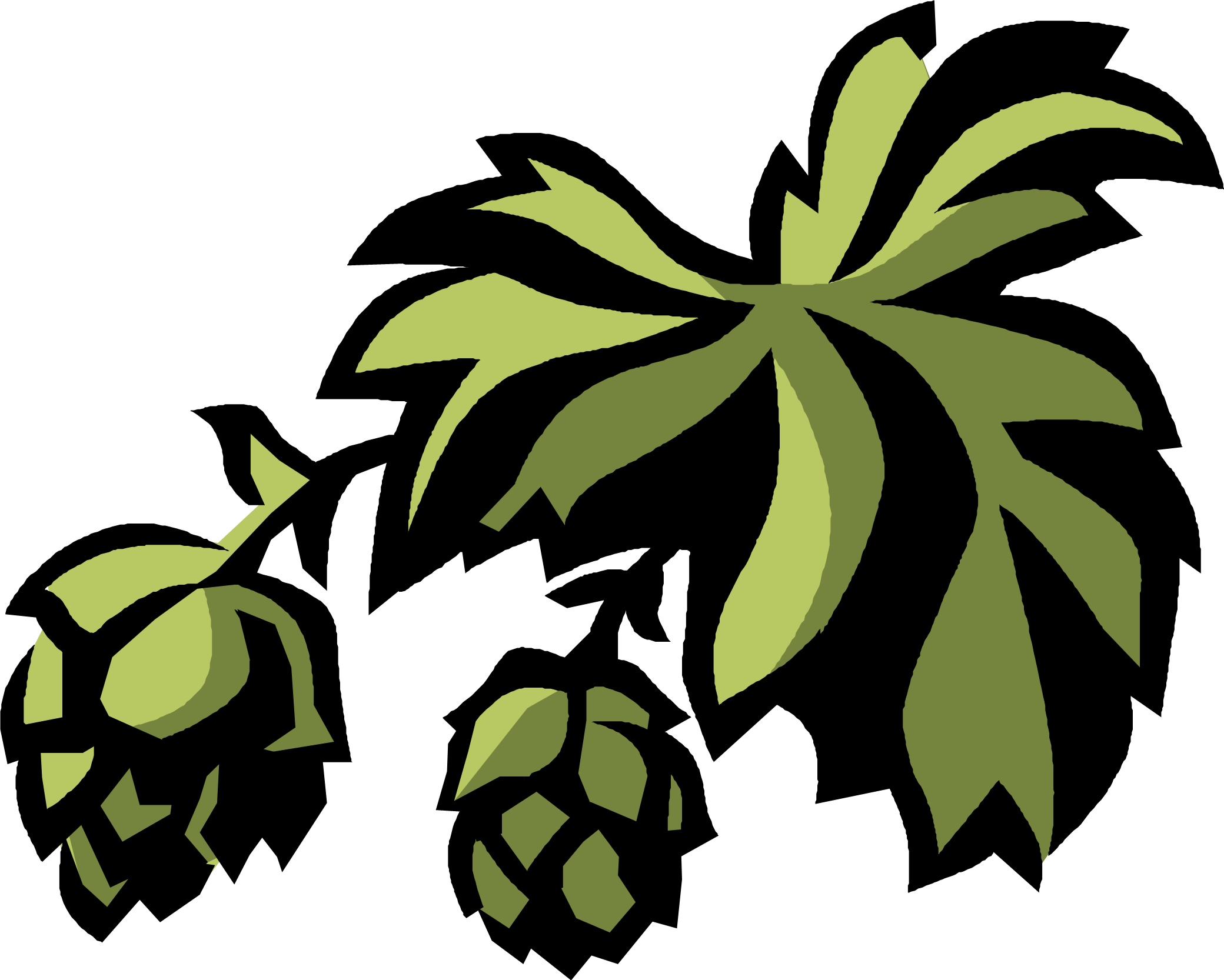 Hop Hoodening, Canterbury's Celebration Of The Hop - Hops And Beer Clip Art (2080x1666), Png Download