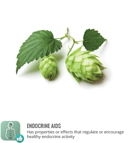 Tags - - Cooking With Belgian Beers: Great Recipes Flavoured (420x459), Png Download