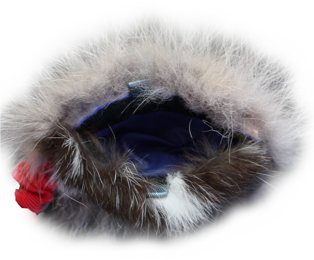Predator-prey Bungee Reward Pouch Coyote & Rabbit (1000x1000), Png Download