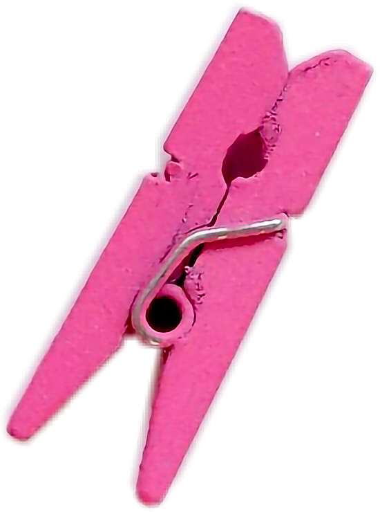 Report Abuse - Pink Clothes Pin Clipart (550x740), Png Download