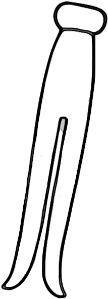 Clothespin Png - Clothes Pin Clipart (235x601), Png Download