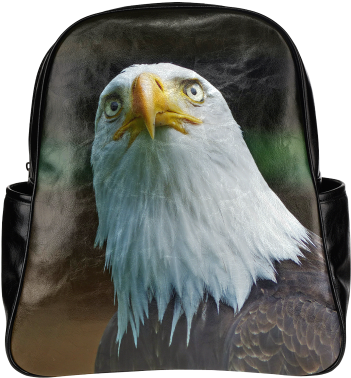 American Bald Eagle Head 001 01 Multi-pockets Backpack - Amerikanischer Weißkopfseeadler-kopf Notizblock (500x500), Png Download