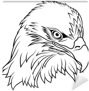 Eagle Head Drawing (400x400), Png Download