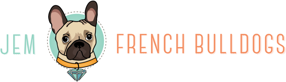 French Bulldog Png (1000x300), Png Download