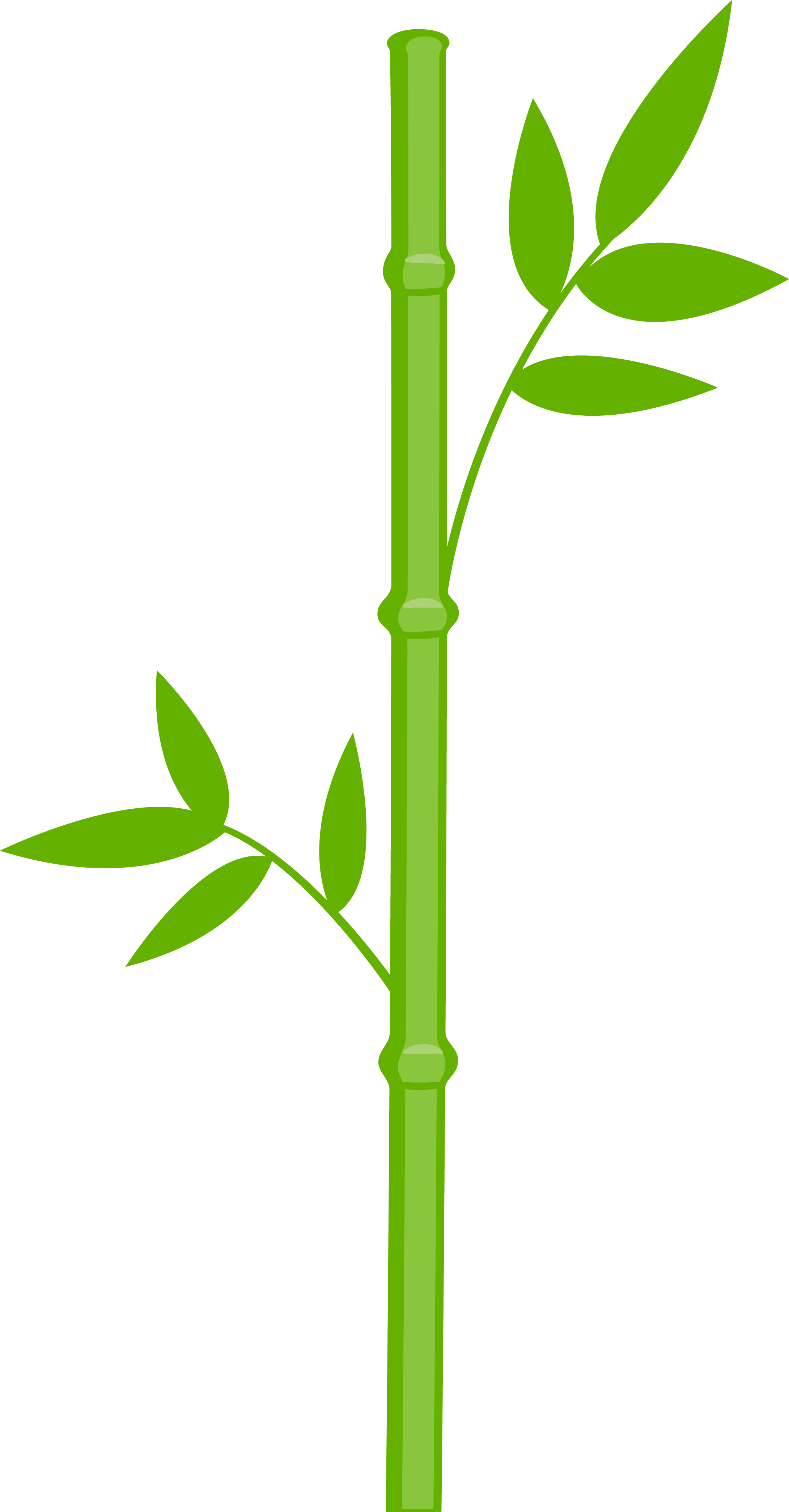 Panda Bear Png Minus - Bamboo Clipart (2181x4179), Png Download