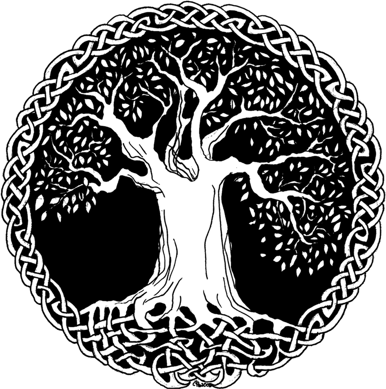 Tree Of Life - Celtic Tree Of Life Png (800x800), Png Download