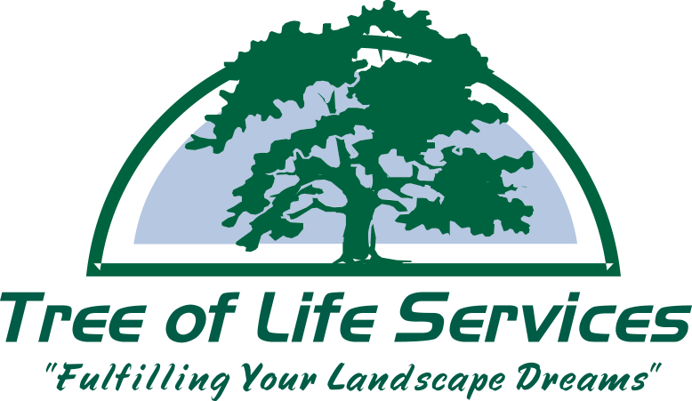 We Listen Carefully To Our Clients And Provide Friendly, - Dressage Ballet On Horseback Horse And Rider T-shirt (778x451), Png Download