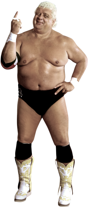 Dusty Rhodes - Wwe Dusty Rhodes Png (320x728), Png Download