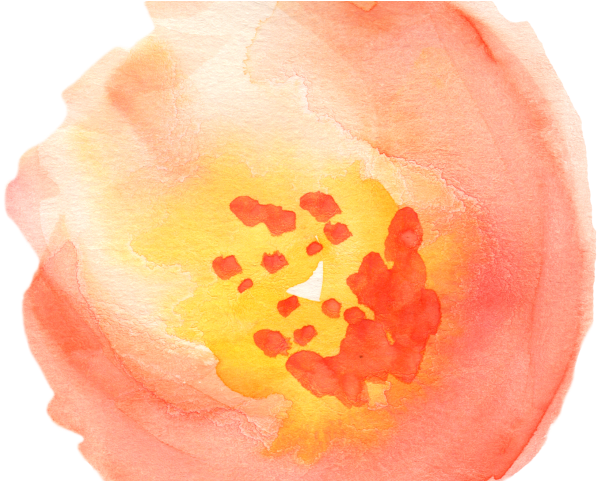 Peach Flower Clipart Flower Petal - Watercolor Clipart Transparent (640x480), Png Download