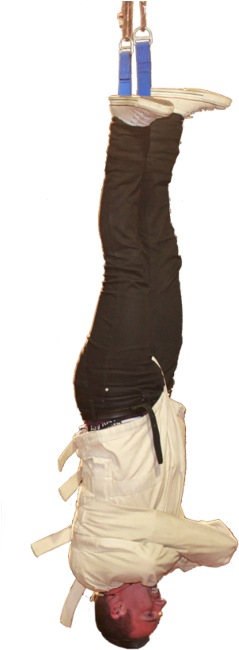 Scott Hammell (274x701), Png Download