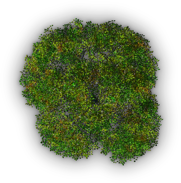 Tree Jrl4a - Terrain (1200x1200), Png Download