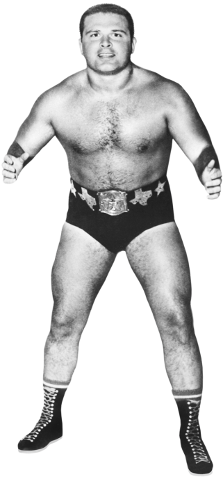 Bill Watts - Wwe Cowboy Bill Watts (320x728), Png Download