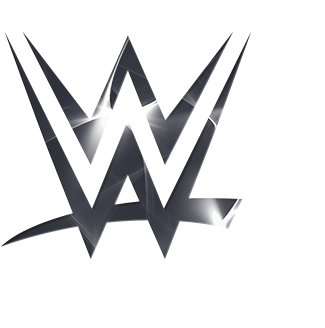 Cody Rhodes - Wwe Logo Black Png (500x364), Png Download