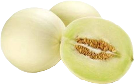 Honeydew Melon - Honeydew (480x320), Png Download