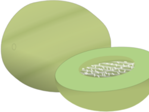 Clip Art Honey Dew (640x480), Png Download