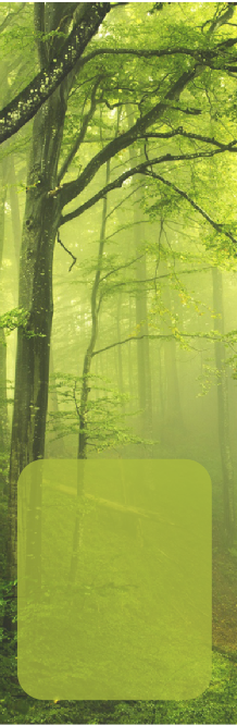 Practice Hours - Mystery Of Fairy Tales (218x667), Png Download