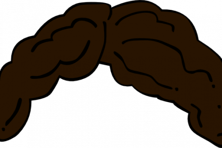 Black Hair Clipart Wig - Wig (450x300), Png Download