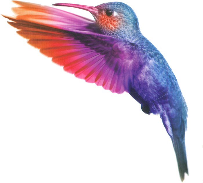 Koliber11 - Cuda. Czym Są, Czemu Się Zdarzają I Jak Mogą Zmienić (700x632), Png Download