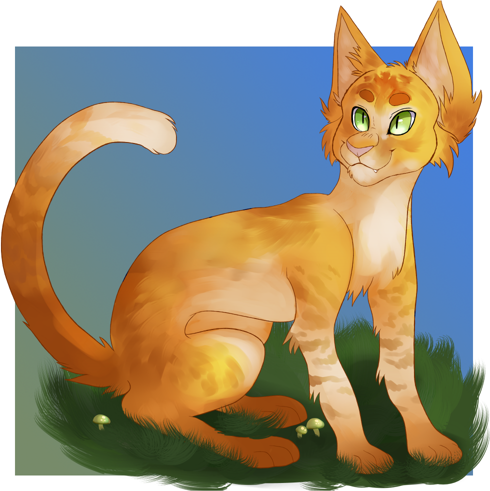 Fireheart - Kitten (1000x1000), Png Download