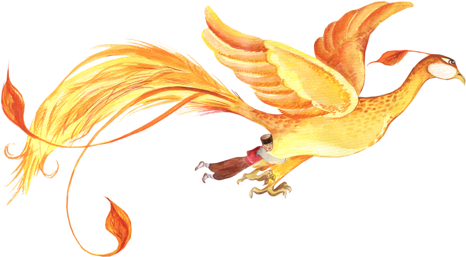 Boy (1047x690), Png Download