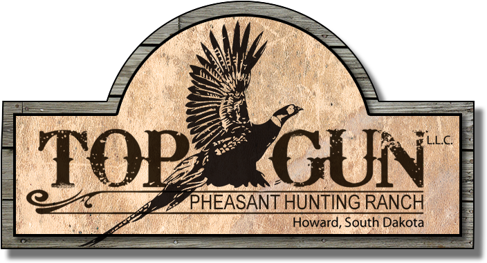 Daughtry (735x407), Png Download