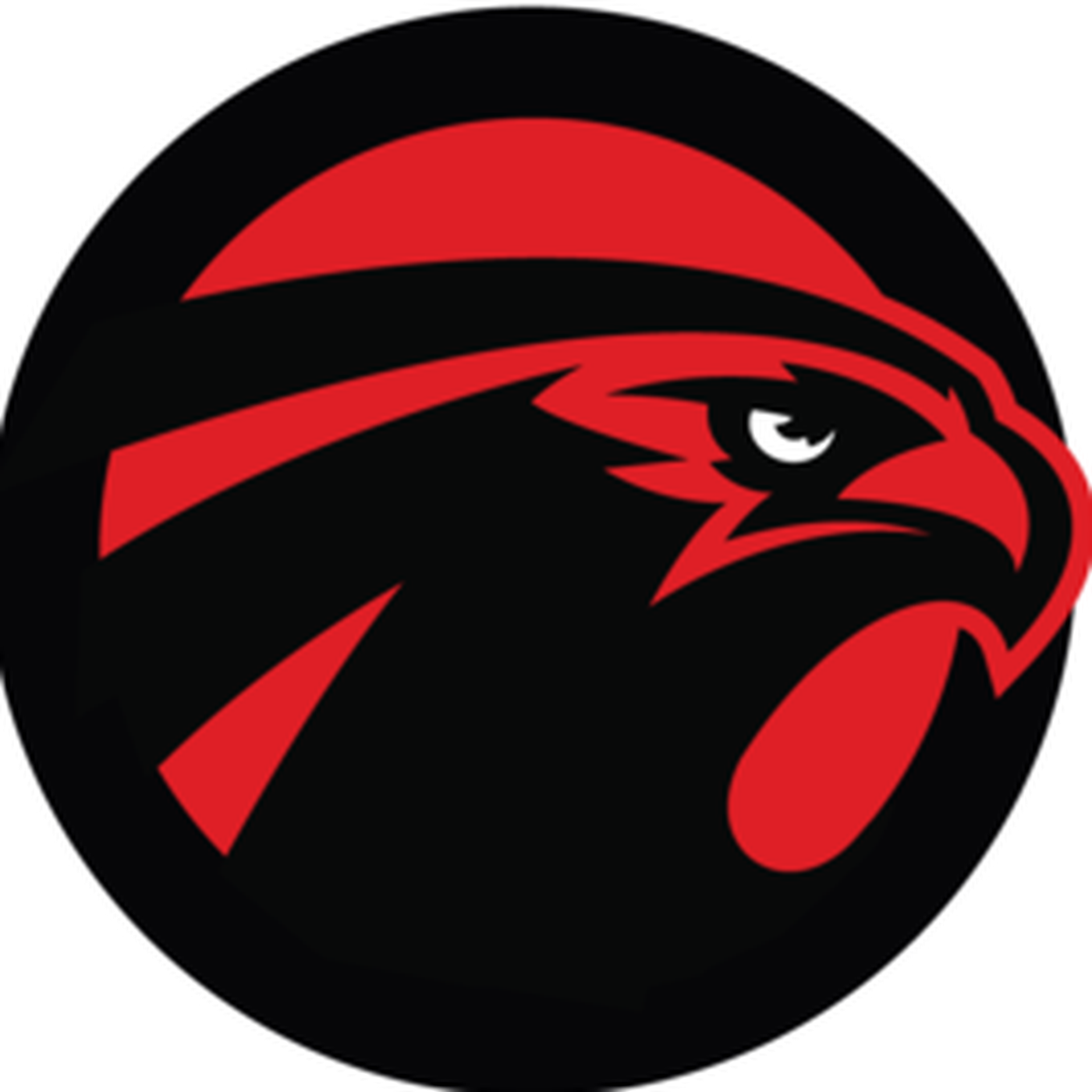 Atlanta Falcons Facts - Sb Nation Falcoholic (1400x1400), Png Download