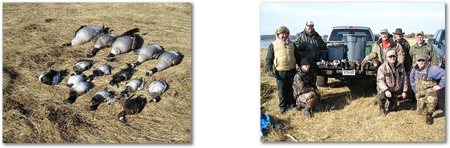 Black Duck Outfitters - Eastern Shores (1055x353), Png Download