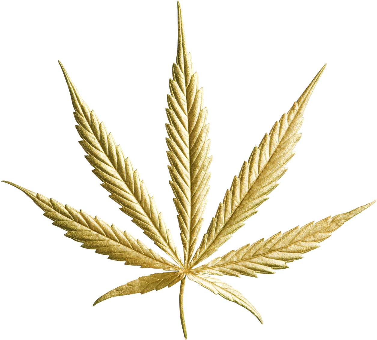 Goldmarijuanaleaf1-9 - - Gold Cannabis Leaf Png (940x1024), Png Download