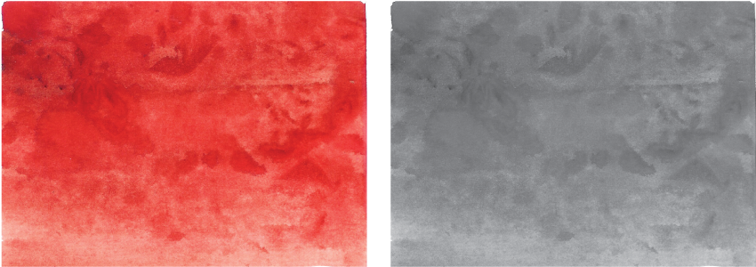 Two Watercolor Backgrounds Are Available For Use - Ohio Buckeye (878x400), Png Download