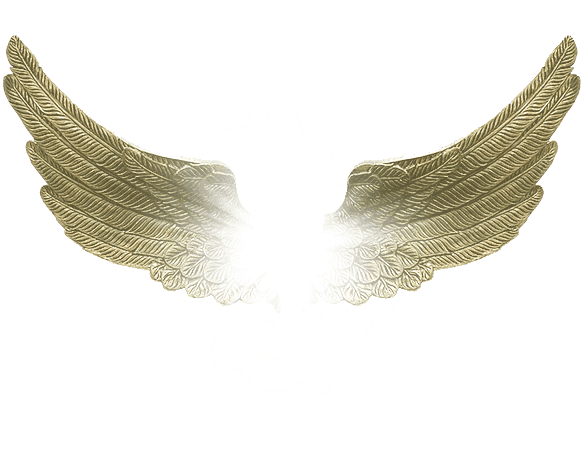 Angel Wings - Png Victoria Secrets Wings (584x456), Png Download