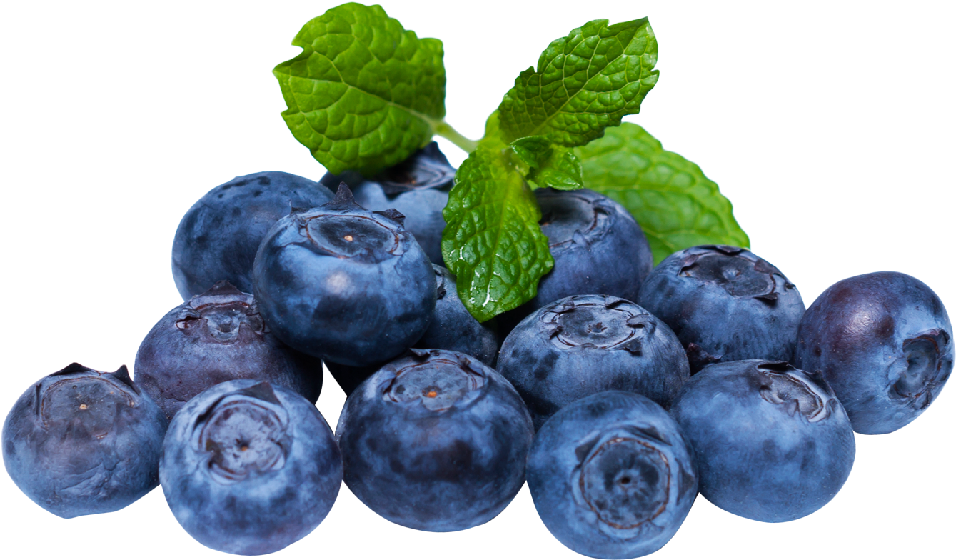 Blueberries Png - Blueberry Png (1399x849), Png Download