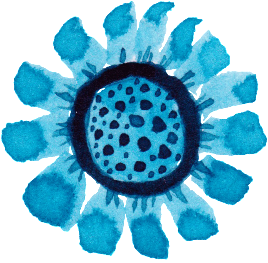 Round Watercolor Hand Painted Flower Decoration Vector - Portable Network Graphics (1024x1007), Png Download
