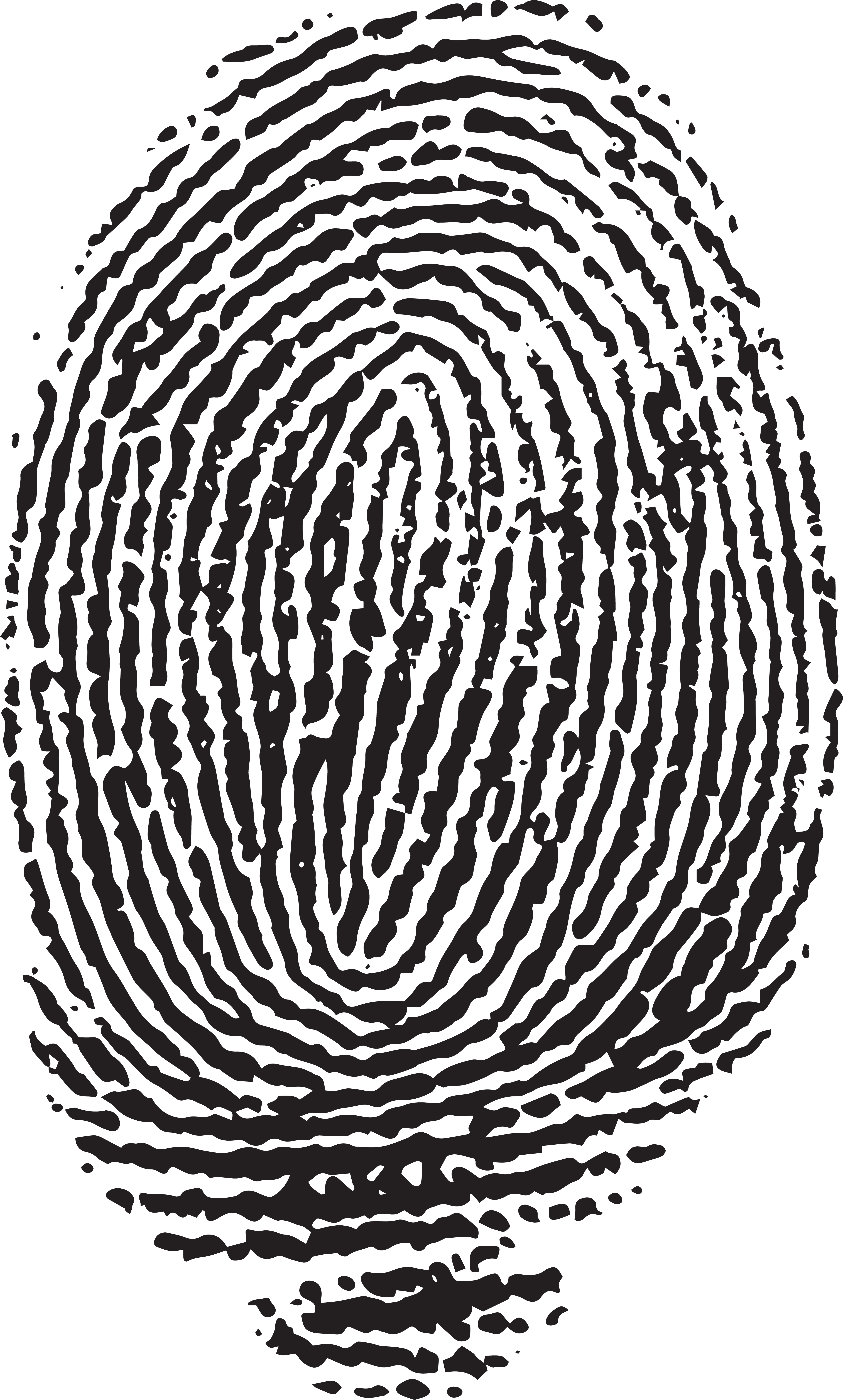 Png Clip Art Image Svg Library Download - Fingerprint (4919x8000), Png Download