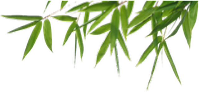 Bamboo Png Transparent Images - Queen Cool Gel Memory Foam Mattress Topper Underlay (640x480), Png Download