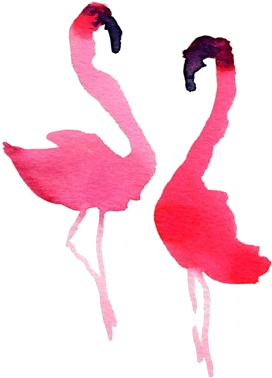 Flamingos Pink Flamingos, Flamingo Art, Bird Art, Watercolor - Watercolor Flamingo Simple (385x443), Png Download