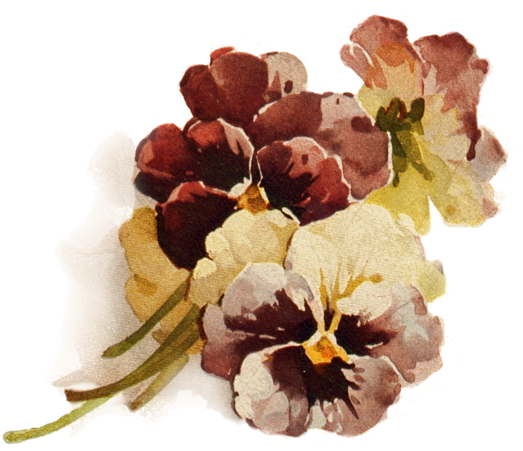 Autumn's Crowning Glory ~ Png File, Pansies Decoupage - Brown Flower Transparent Background (1161x1050), Png Download